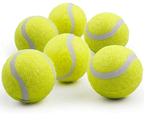 ALL FOR PAWS ball bouncing back after being caught