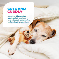 All For Paws Ultrasonic Simba monkey design dog toy for quiet play