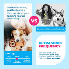 All For Paws Ultrasonic Simba toy demonstrates noise-free play for home and office