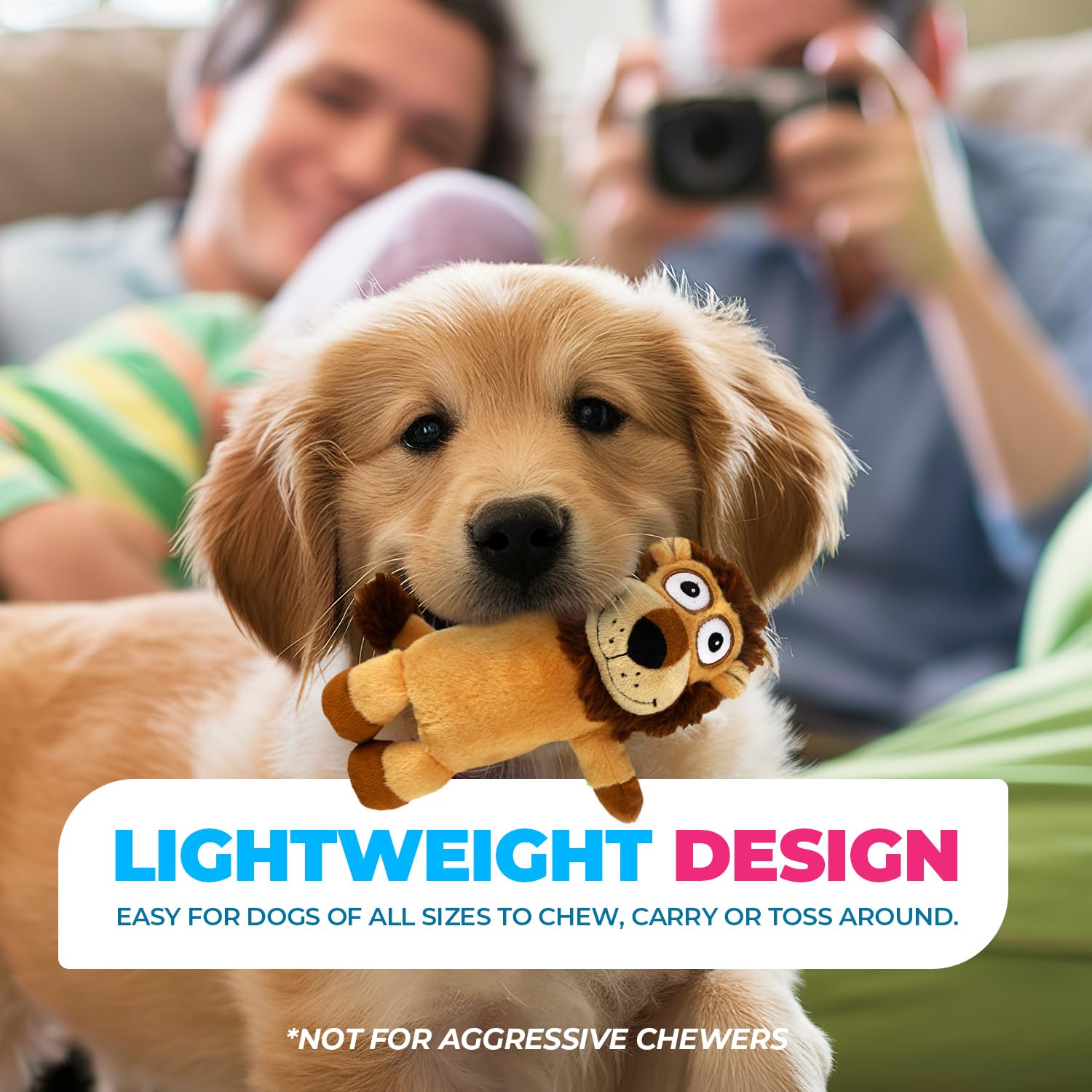 All For Paws Ultrasonic Simba simba design dog toy for cuddly play
