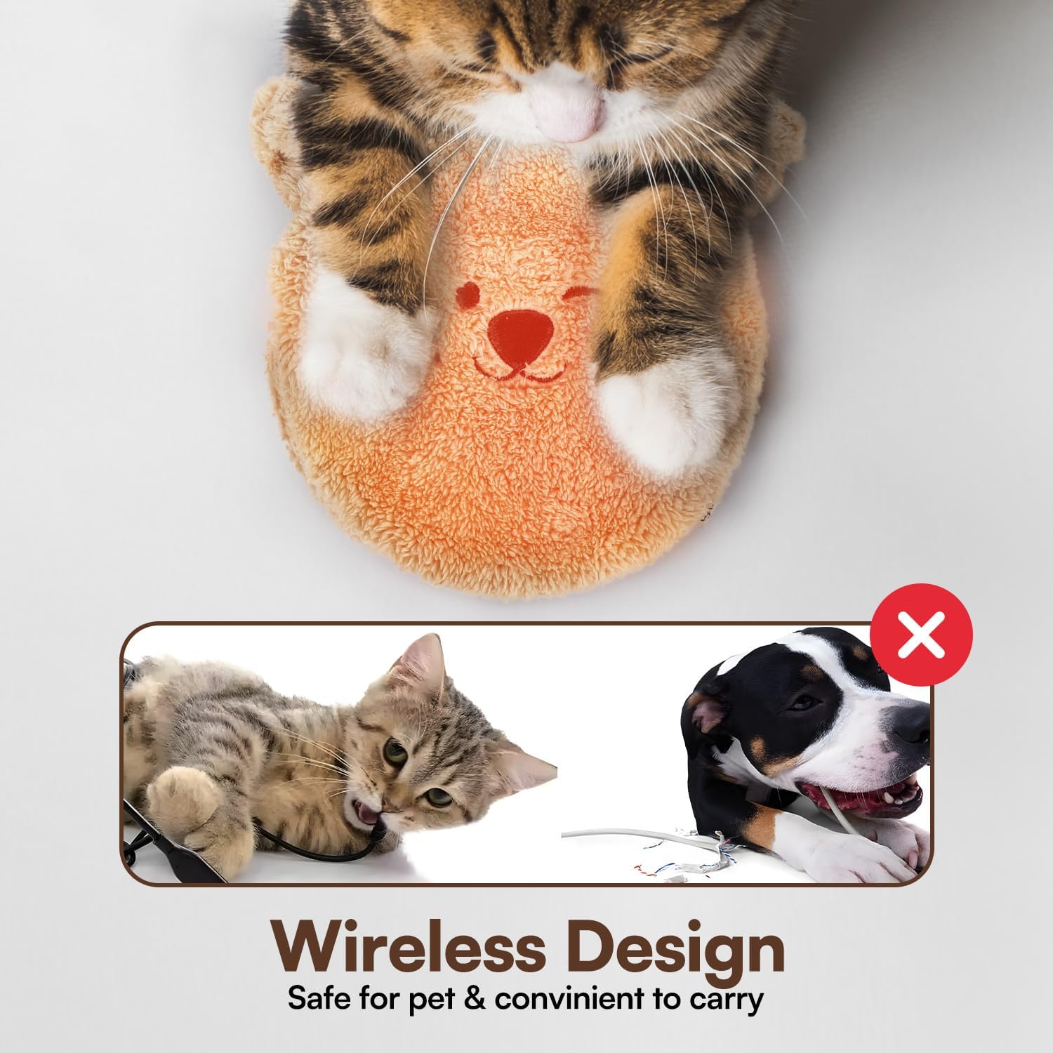 ALL FOR PAWS warm night-time cuddling image highlights lasting comfort.