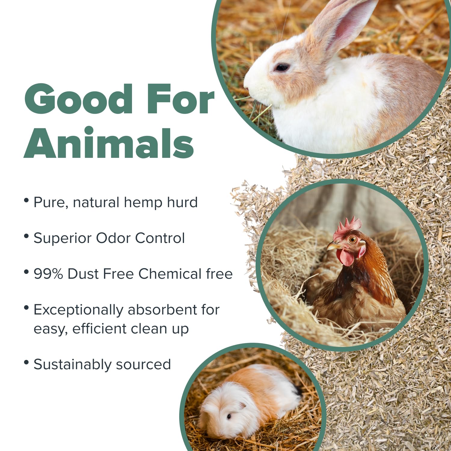 All Walks hemp bedding chemical-free natural material supports safe small-animal habitats.