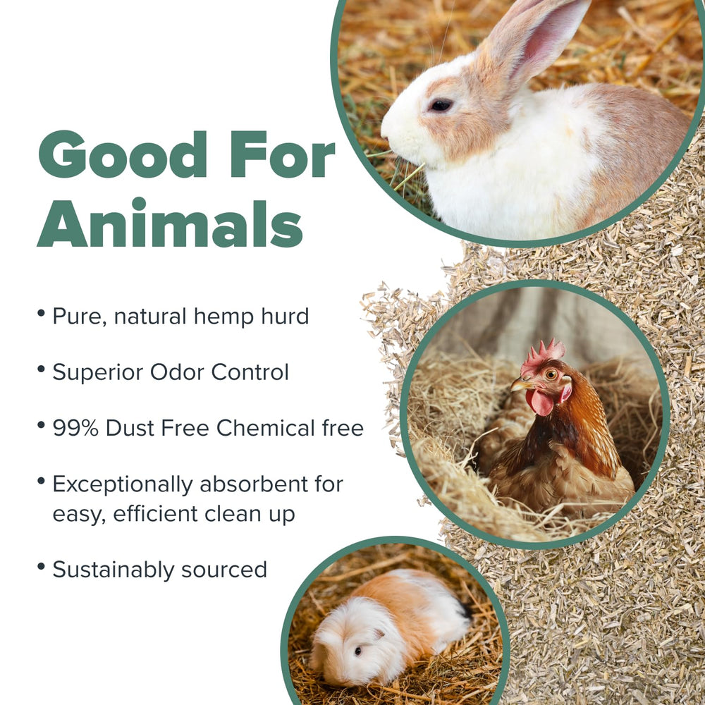 All Walks hemp bedding chemical-free natural material supports safe small-animal habitats.