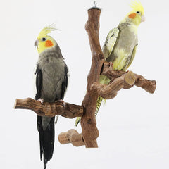 Allazone natural grape vine toy with uneven surfaces for climbing play.