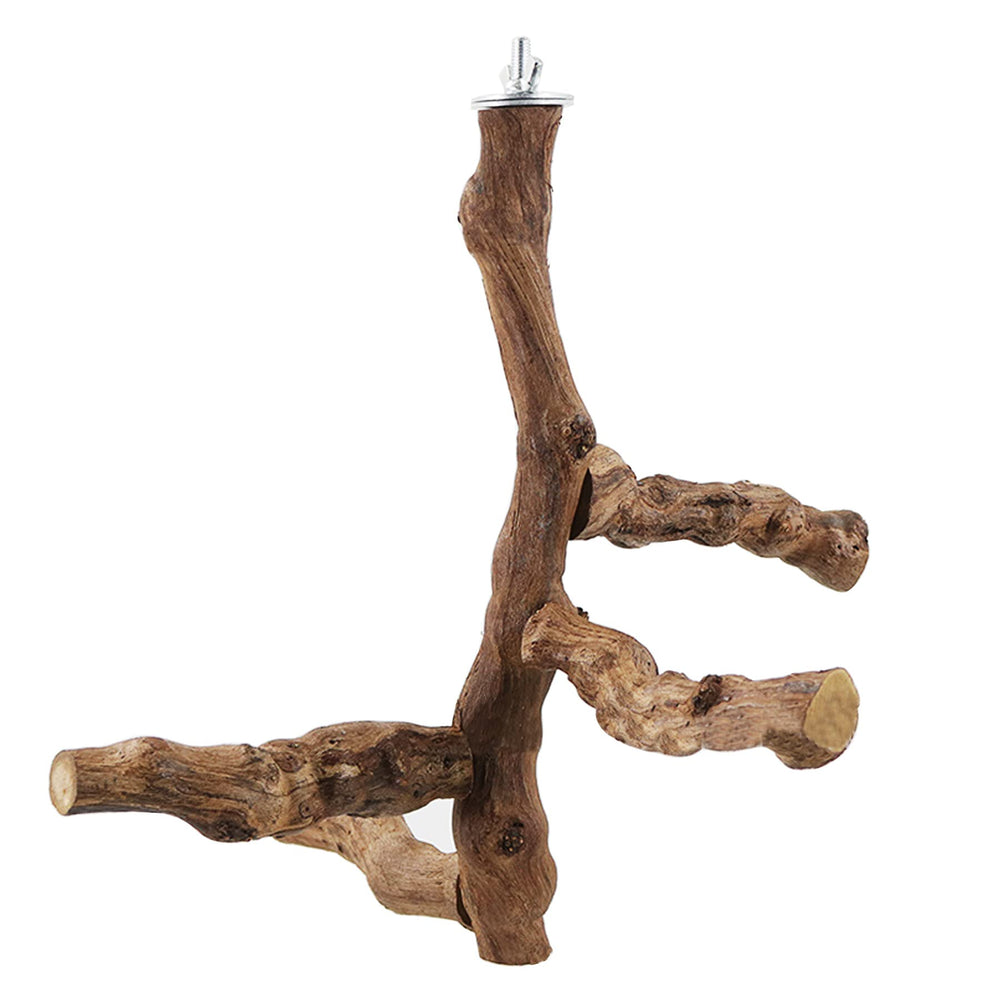 Allazone 3-4 bird perch supports social interaction and activity in cage.