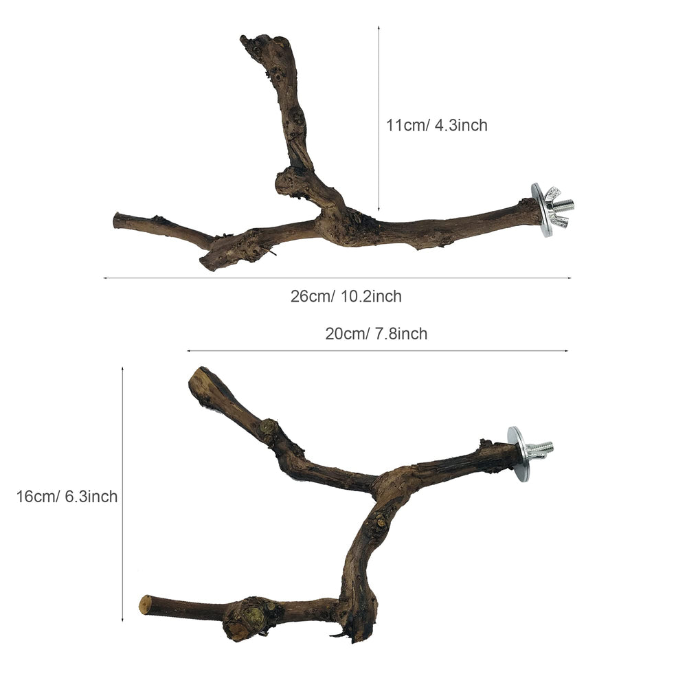 Allazone grapevine perch mounted in cage demonstrates easy setup and stable placement