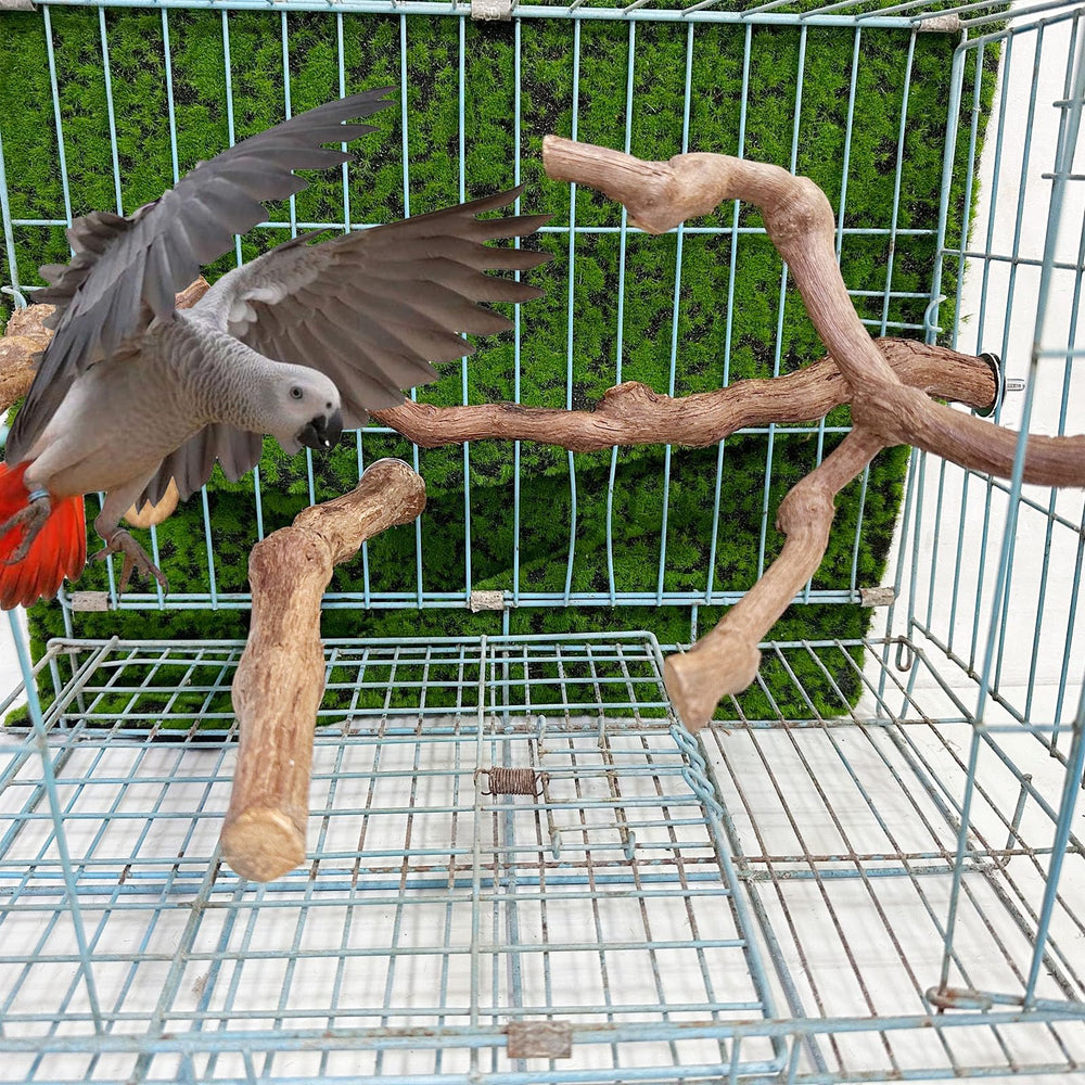 Allazone bird perch pack includes bifurcation and no-branch options for variety