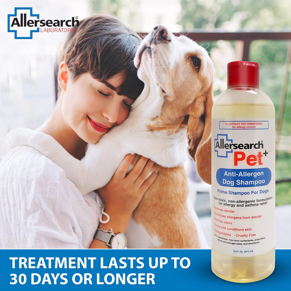 Allersearch Pet+ Shampoo dog close-up after a gentle wash