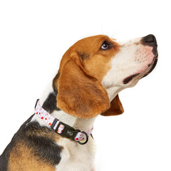 ALLFYL dog collar side view highlights soft polyester material and skin-friendly feel.