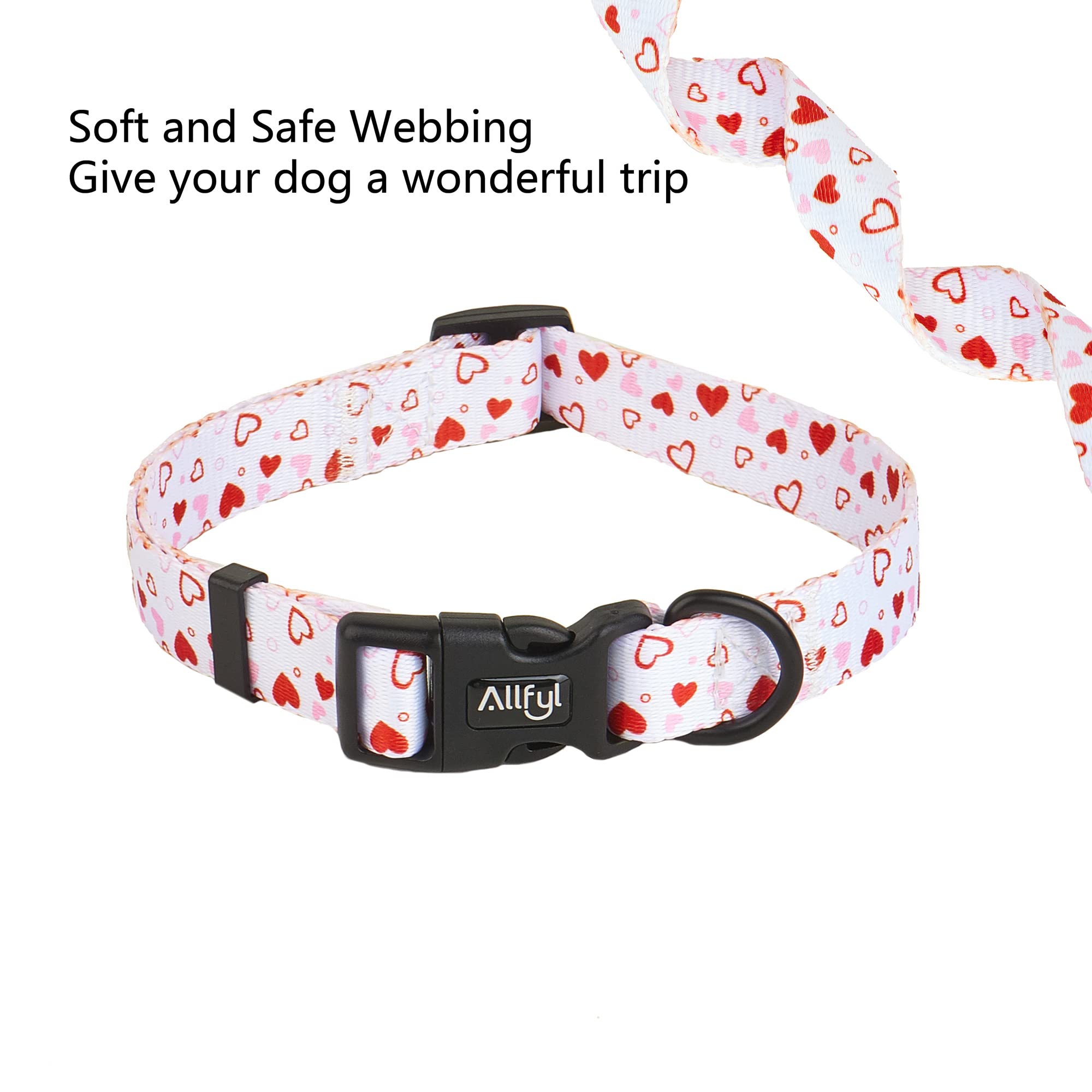 ALLFYL dog collar D-ring leash attachment for easy leash setup.