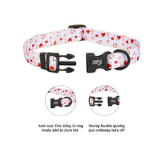 ALLFYL dog collar safety buckle closeup shows quick-release hardware.