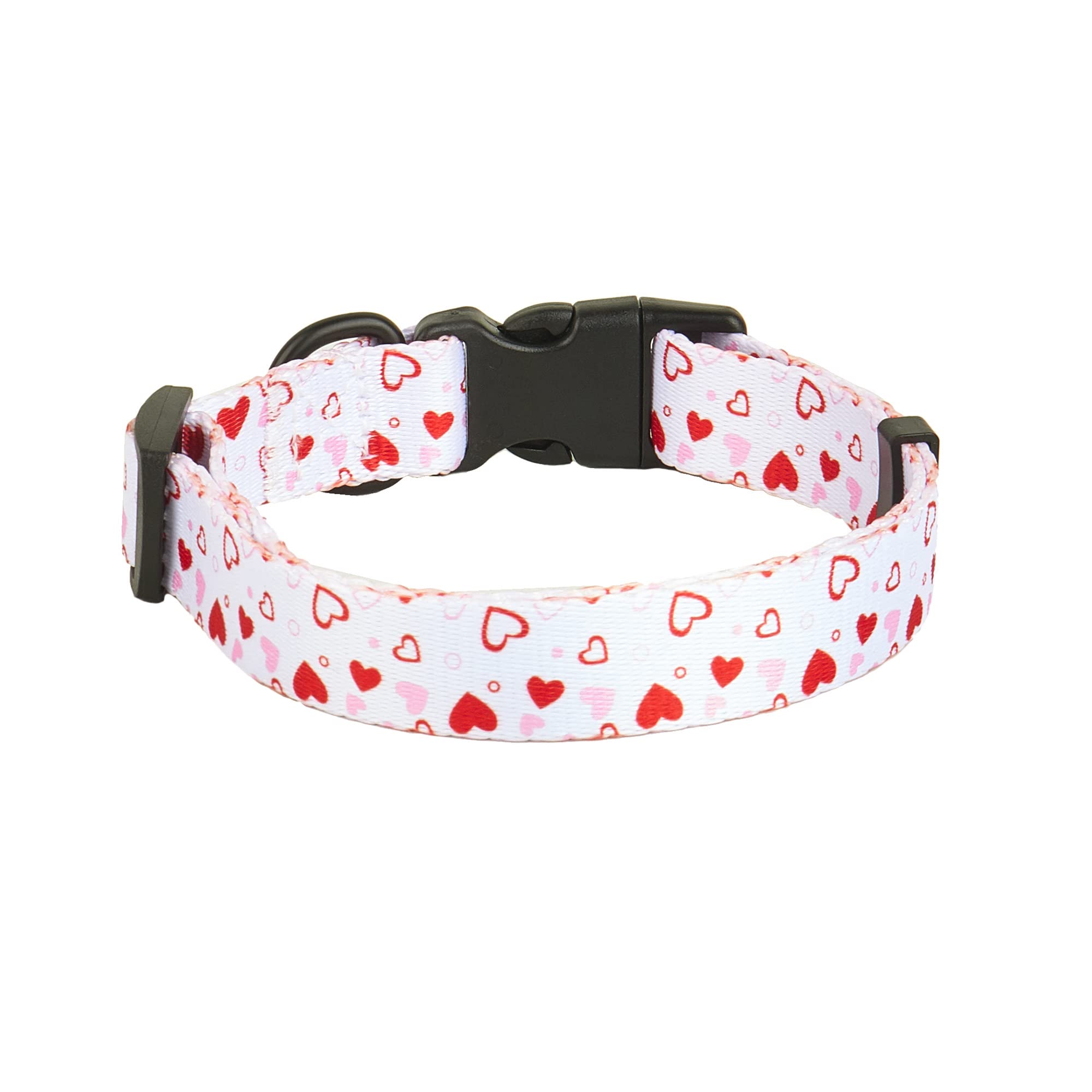 ALLFYL small neck size demonstrates versatility for small dogs.