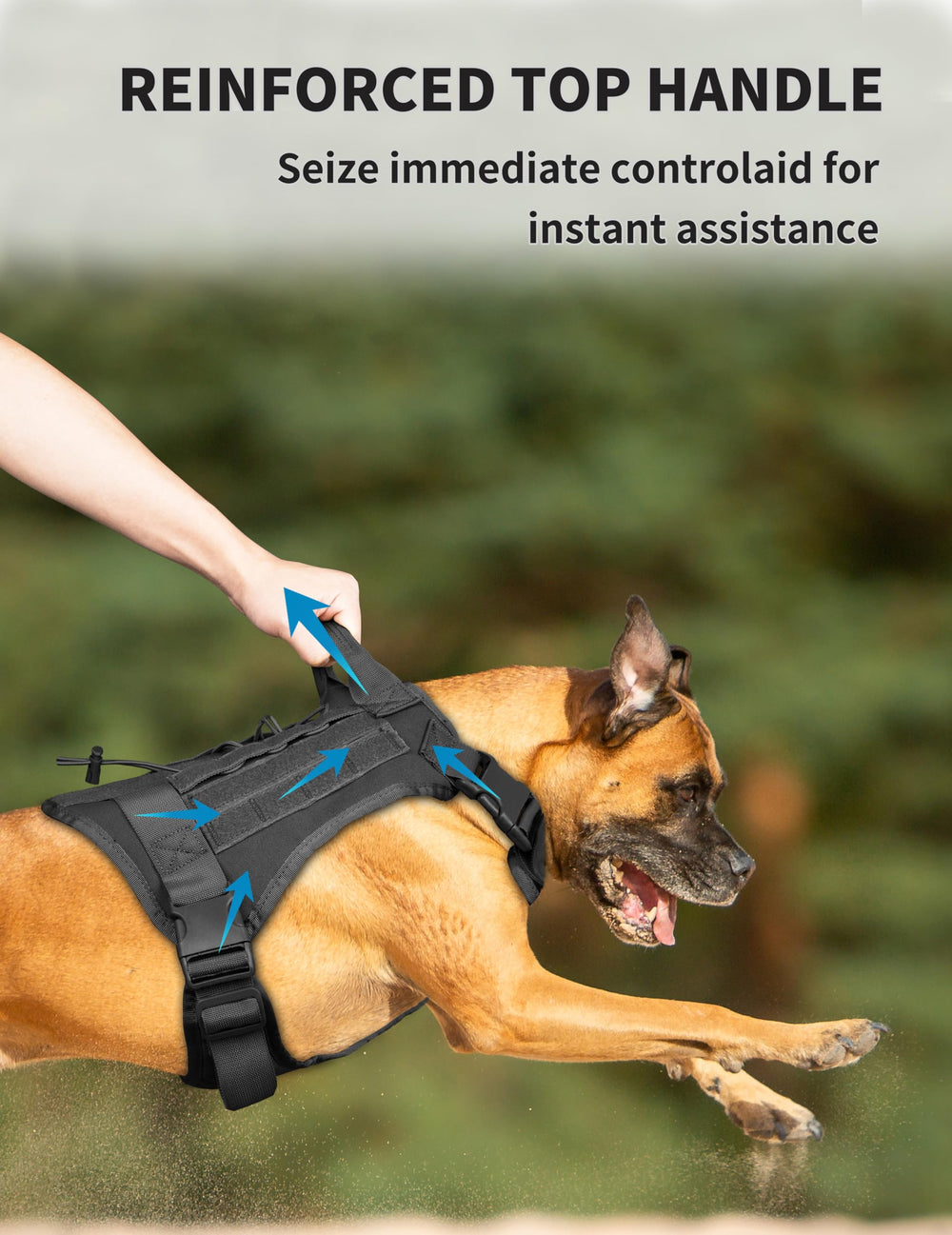 ALLIGEAR tactical harness side view shows breathable mesh for cooler active sessions.