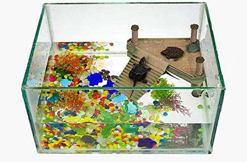 Allpdesky Turtle Pier easy-to-clean design supports safe, durable tank accessories.
