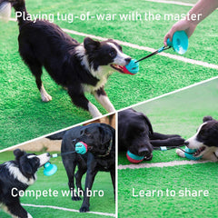ALLRIER juguete para perros con limpieza dental 360 grados