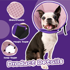 Allroaring breathable cone mesh promotes airflow and pet comfort