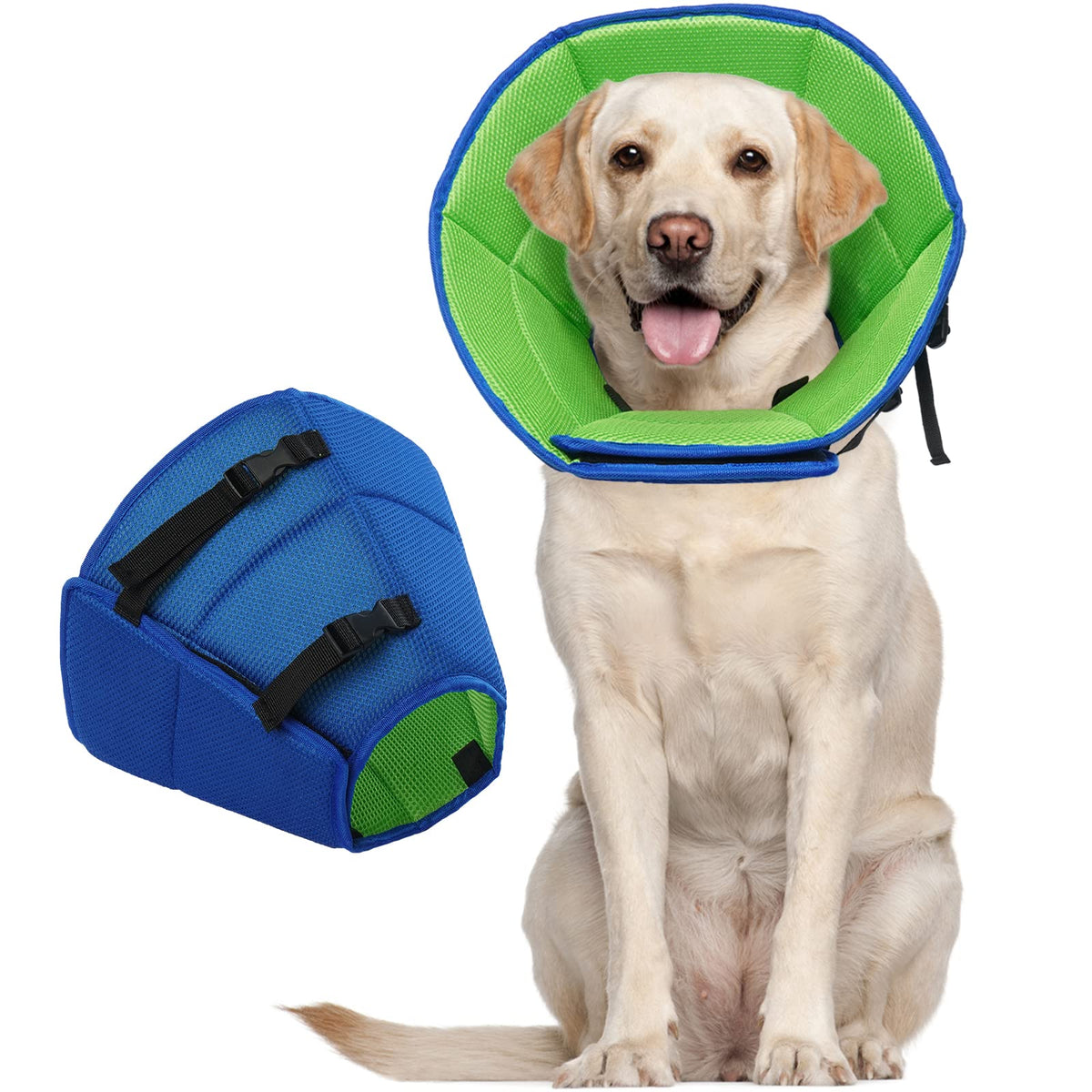 Allroaring dog cone large measure guide helps select the right size for recovery