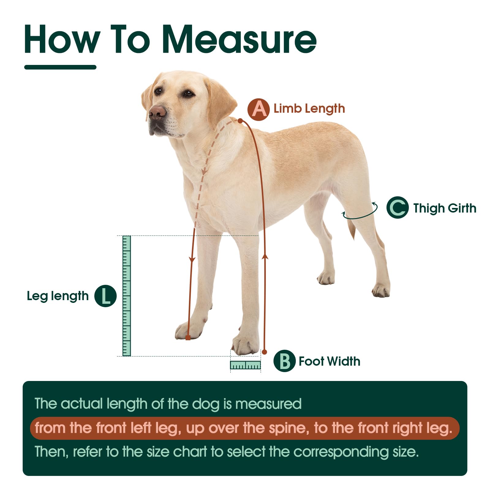 Allroaring dog suspender boots anti-slip sole provides traction on wet surfaces for confident walks.