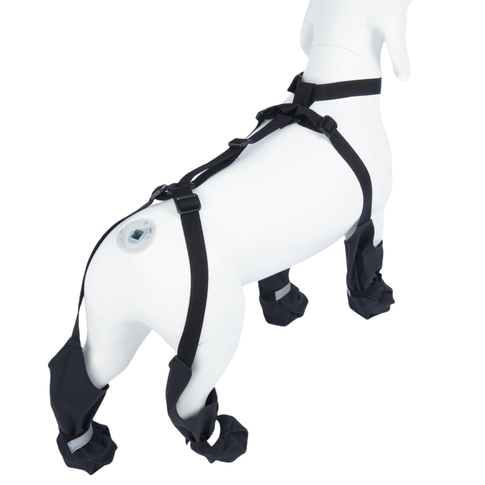 Allroaring dog suspender boots suit small to medium dogs with waterproof legging-style protection.