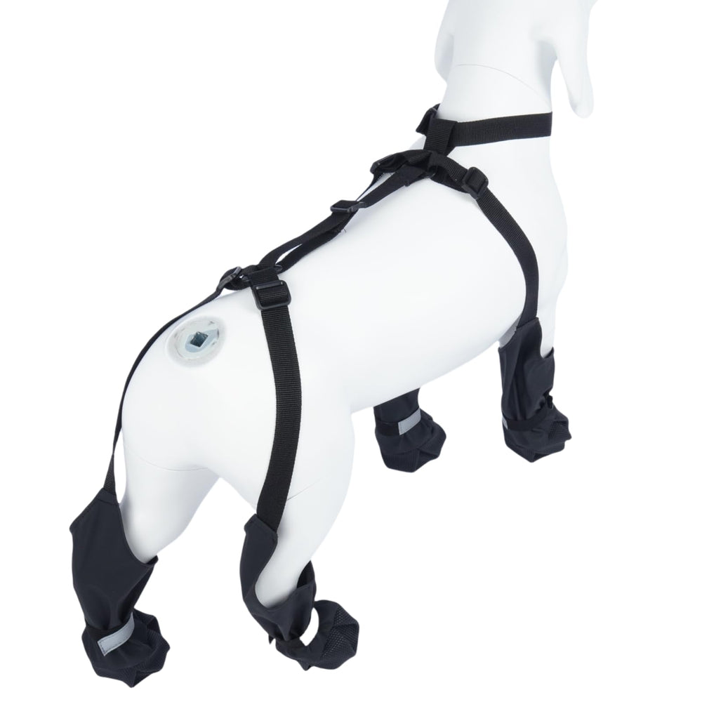 Allroaring dog suspender boots suit small to medium dogs with waterproof legging-style protection.