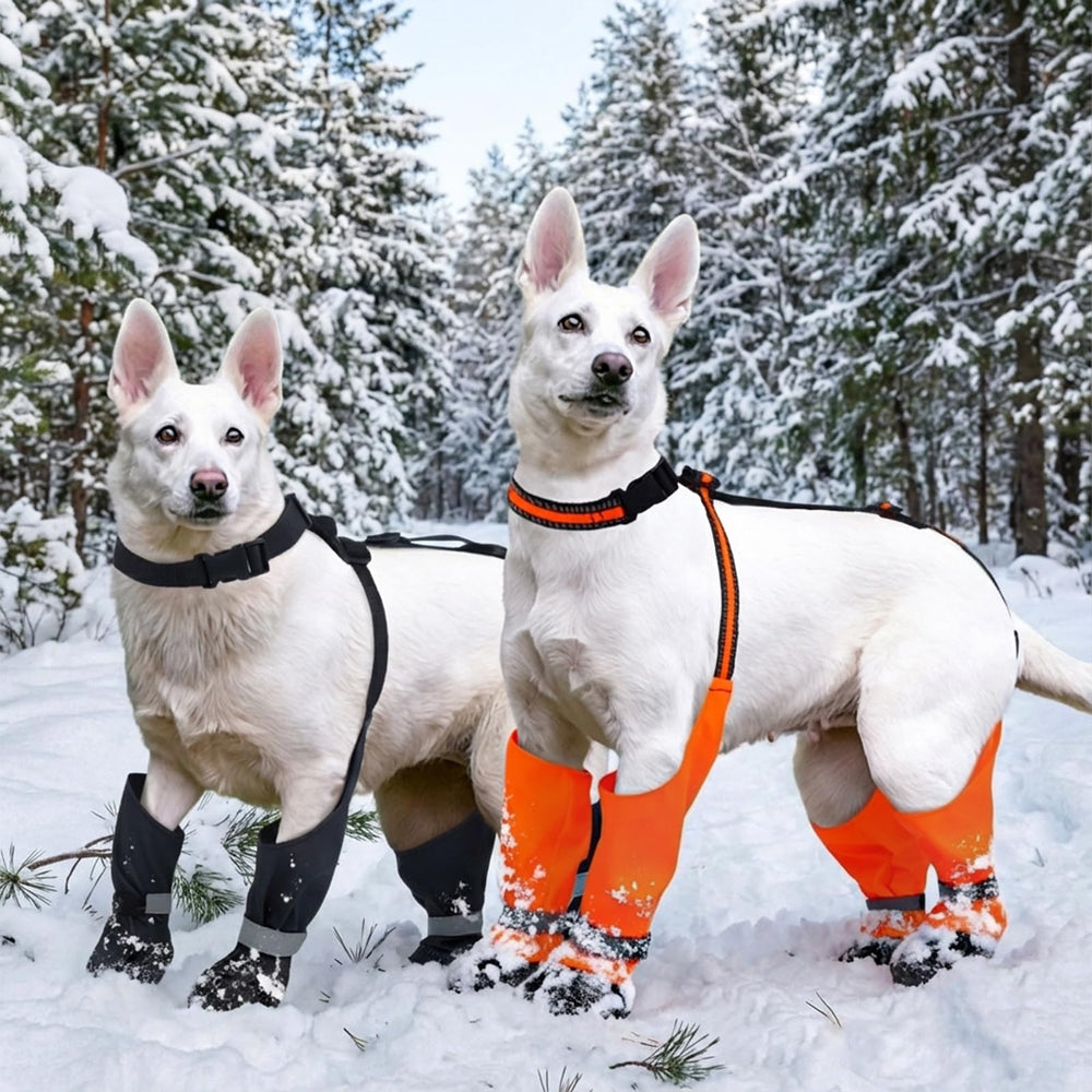 Allroaring dog suspender boots ideal for daily outdoor walks and adventures.