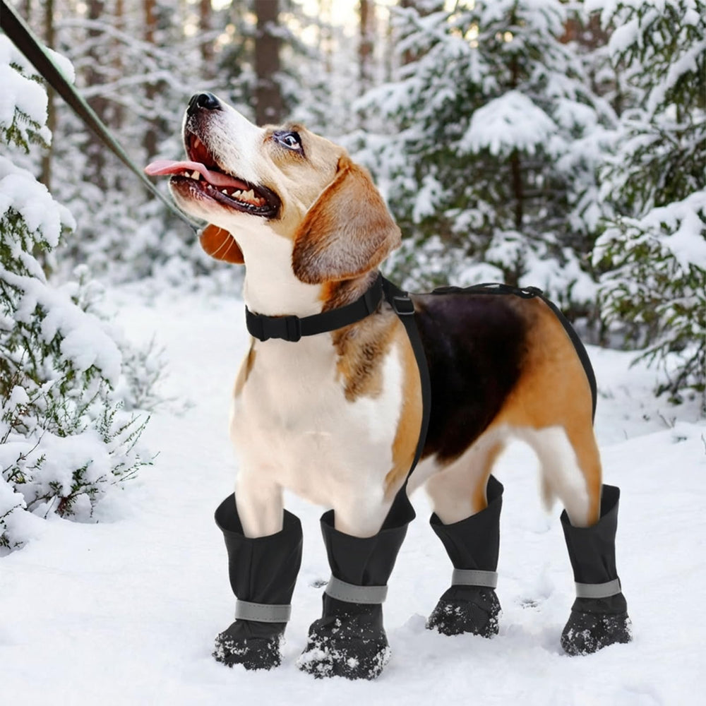 Allroaring dog suspender boots shield paws from stones, ice, and debris.