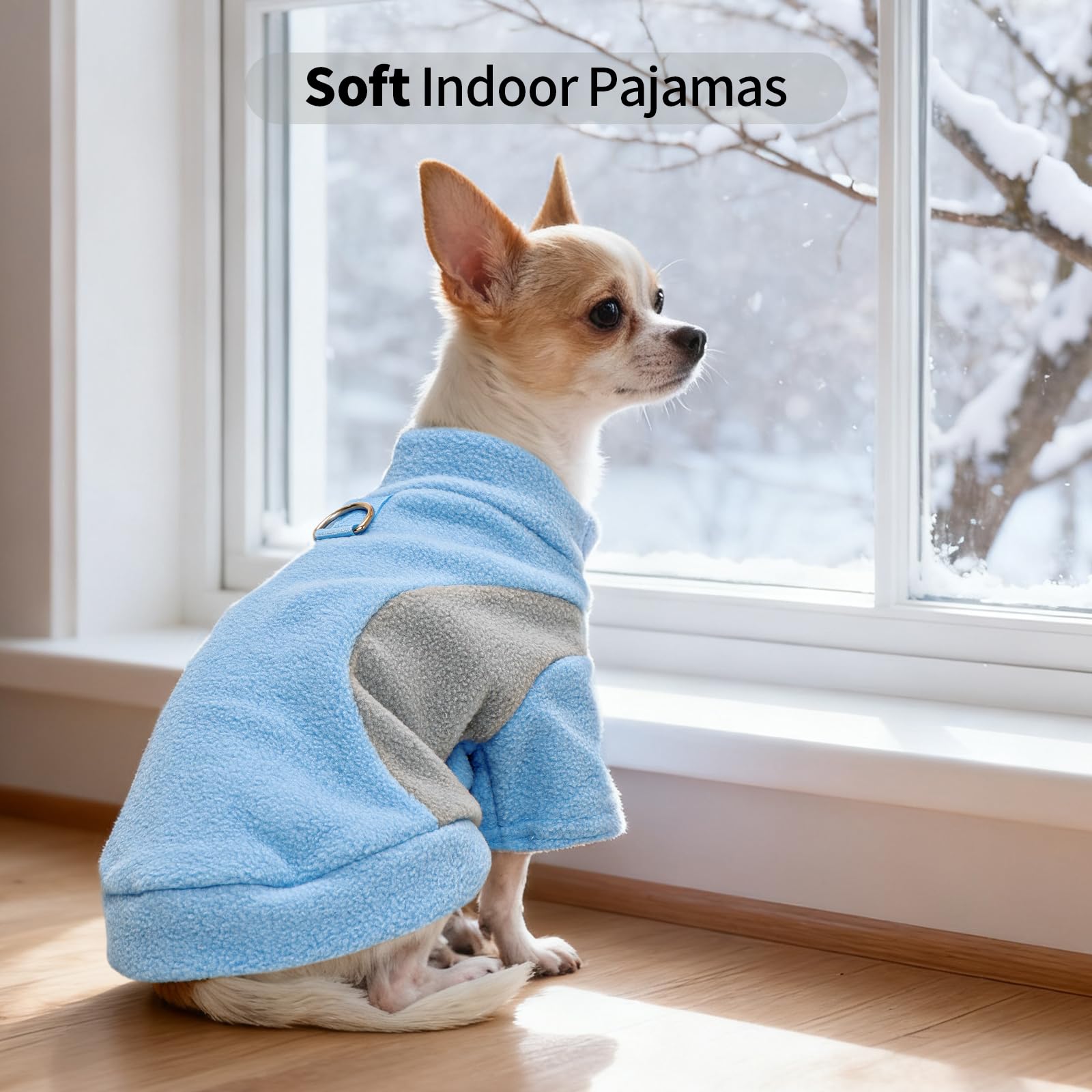Allroaring dog sweater outdoor walk scene demonstrates versatile daily wear.