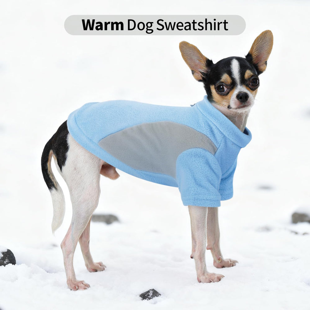 Allroaring dog sweater small dog model shows fit for Chihuahuas and Yorkies.