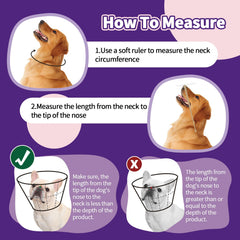 Allroaring protective cone helps prevent licking wounds during recovery