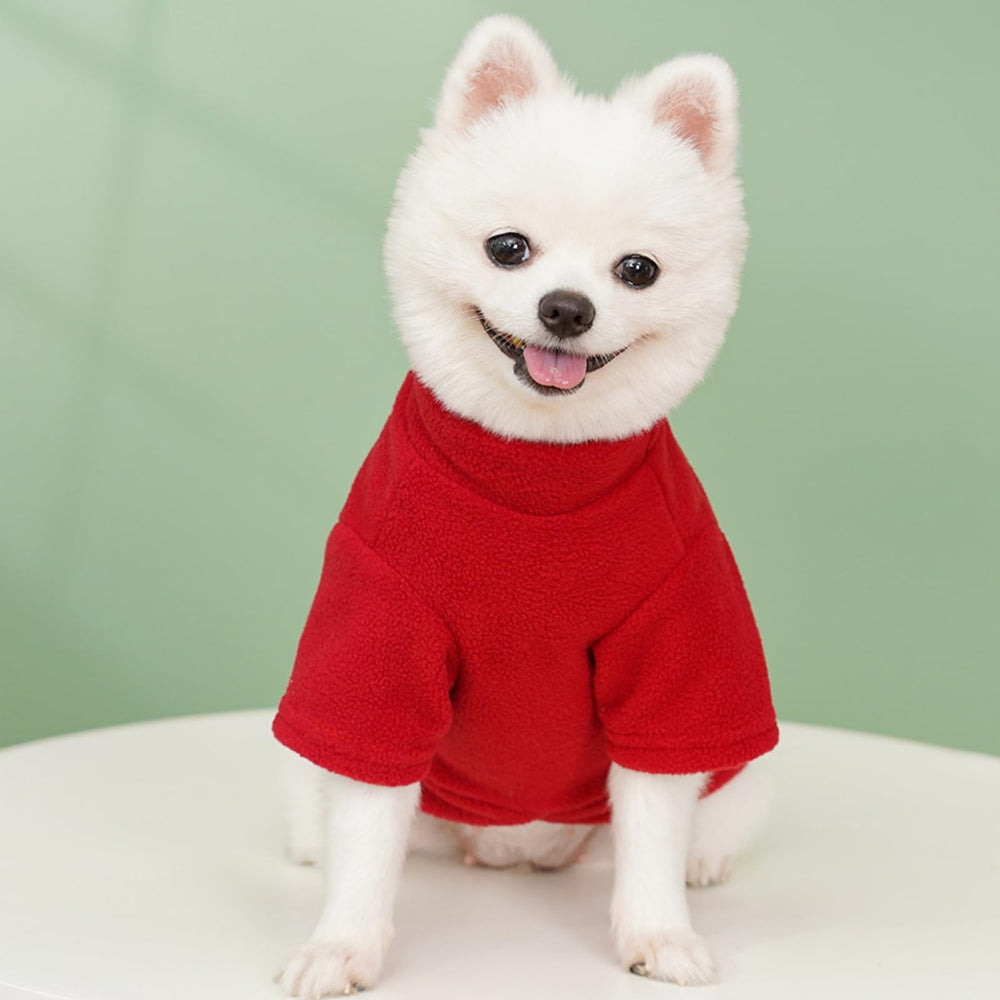 Allroaring soft fleece dog sweater worn on a winter walk for warmth.