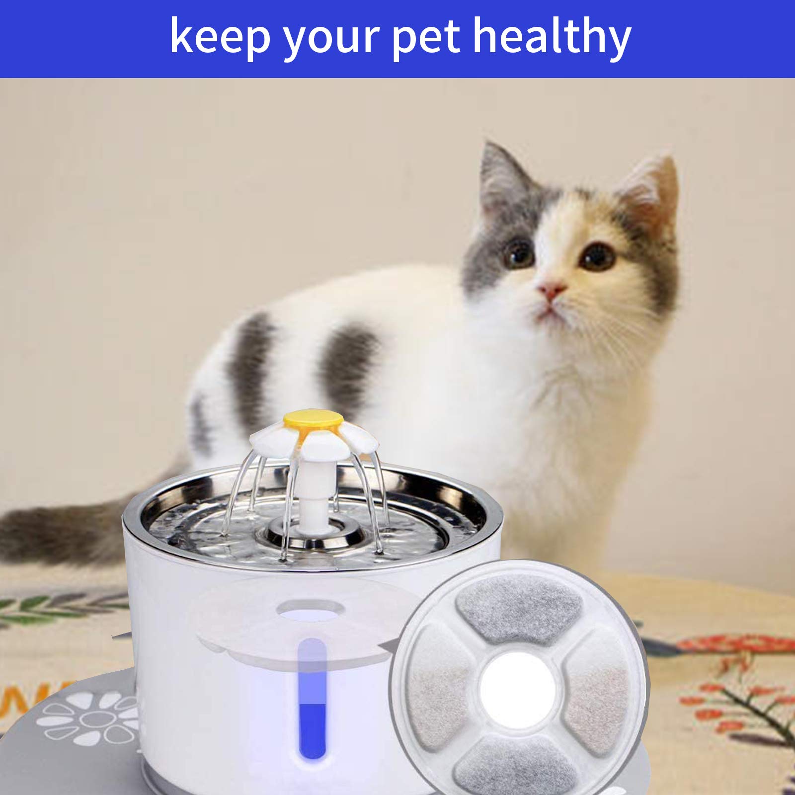 Allxin packaging and filter quality-testing scene for reliable pet hydration.