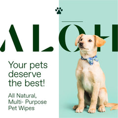 ALŌH hypoallergenic pet wipe with Coconut Oil for odor control and shine