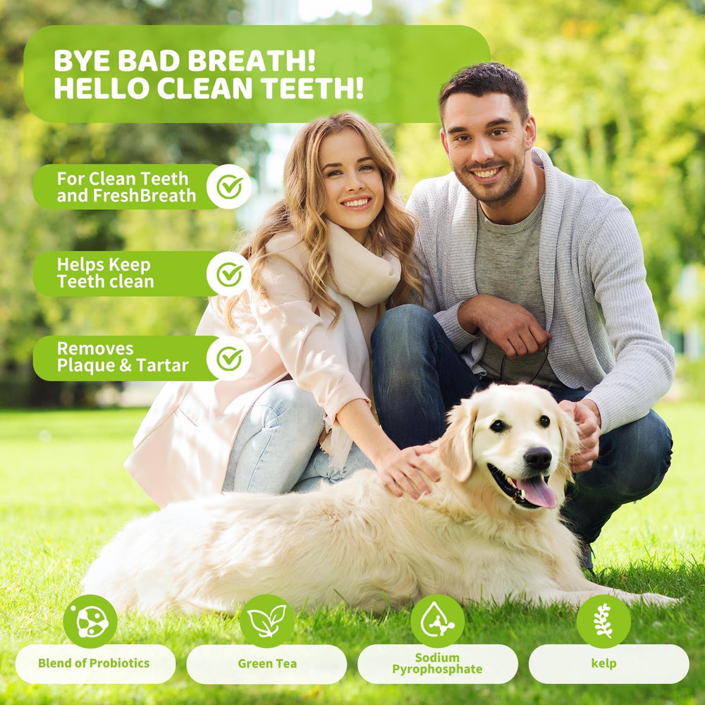 Aloevia dental powder sprinkled into dog food bowl for easy mixing