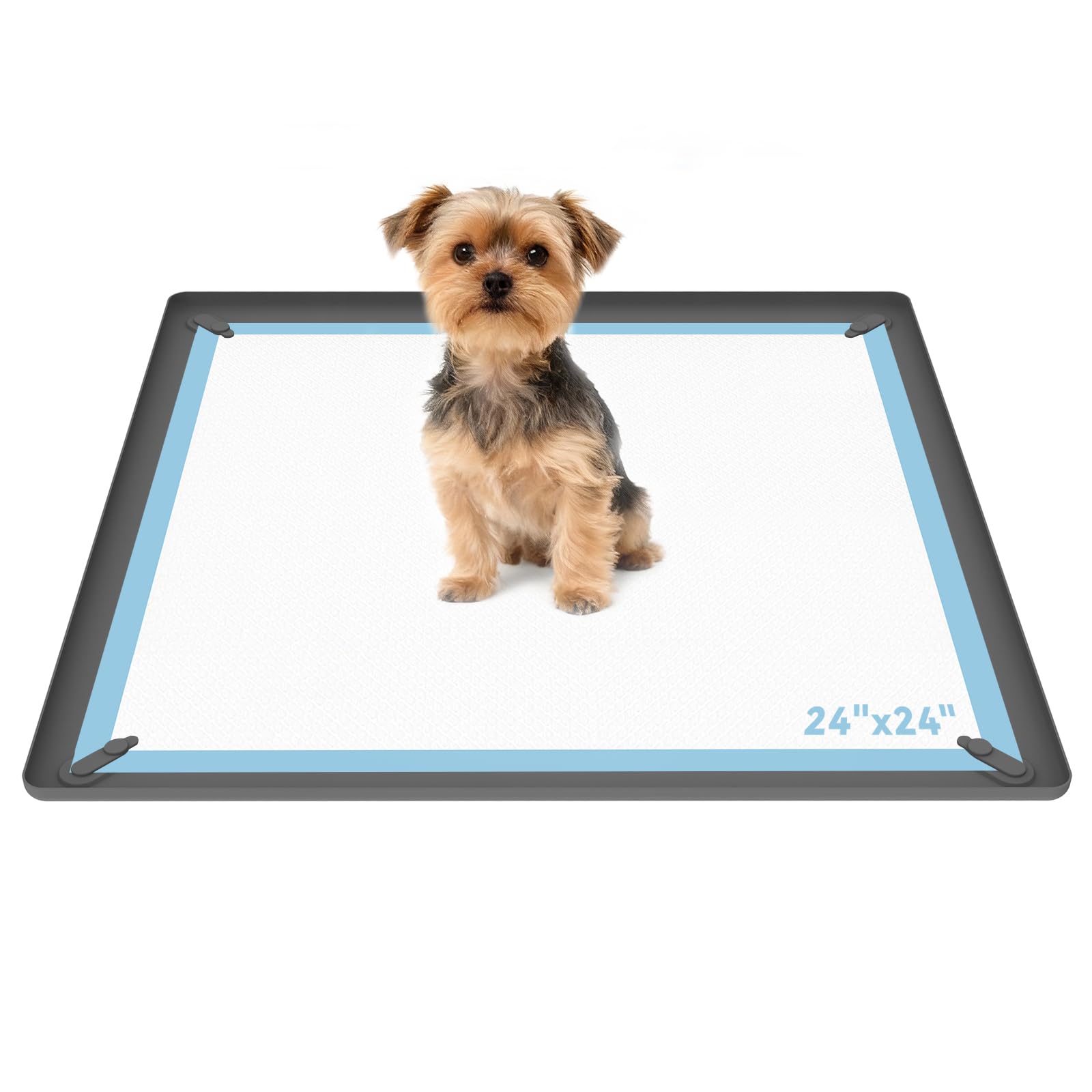 ALOOF pee pad holder with magnetic snaps keeps pads flat for mess-free training.