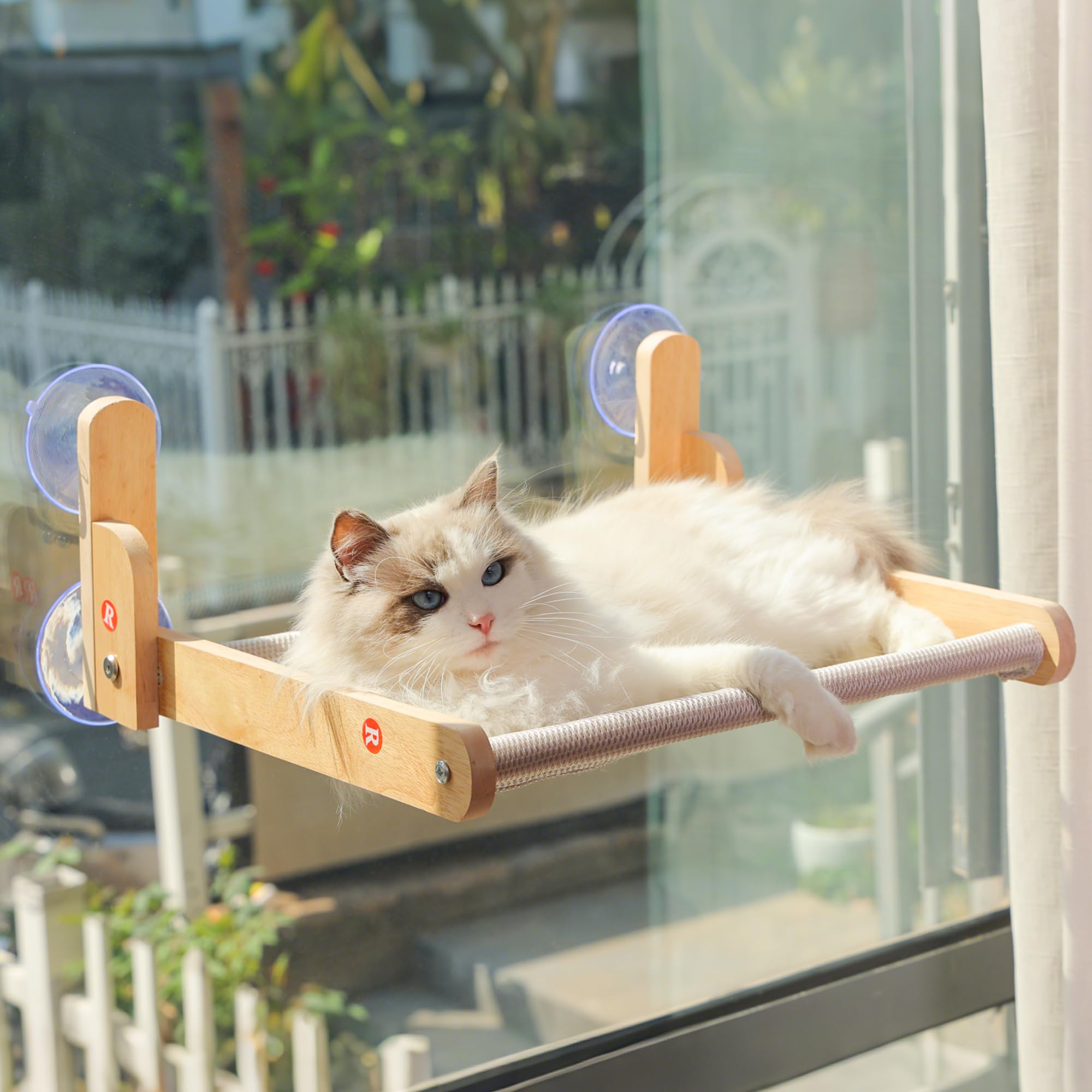 Aloxina cat window perch with wooden frame offers sunbathing and birdwatching from elevated view