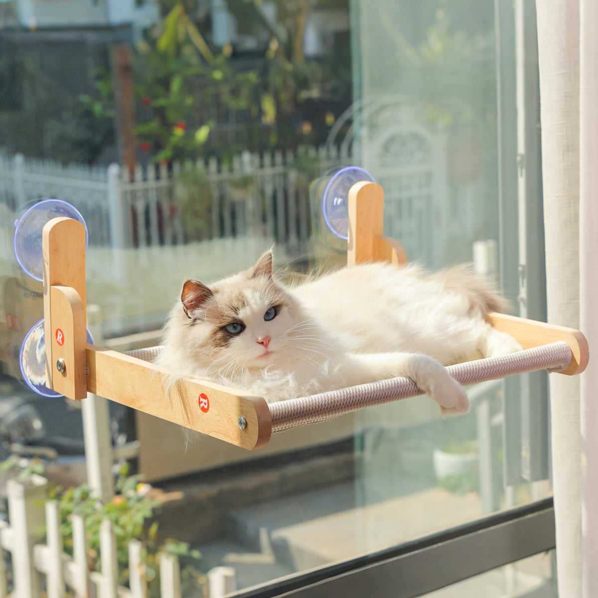 Aloxina cat window perch with wooden frame offers sunbathing and birdwatching from elevated view
