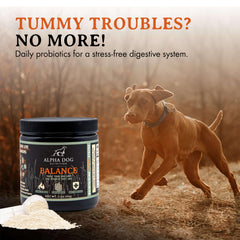 Alpha Dog Nutrition Balance Probiotic serving scoop for easy daily administration.