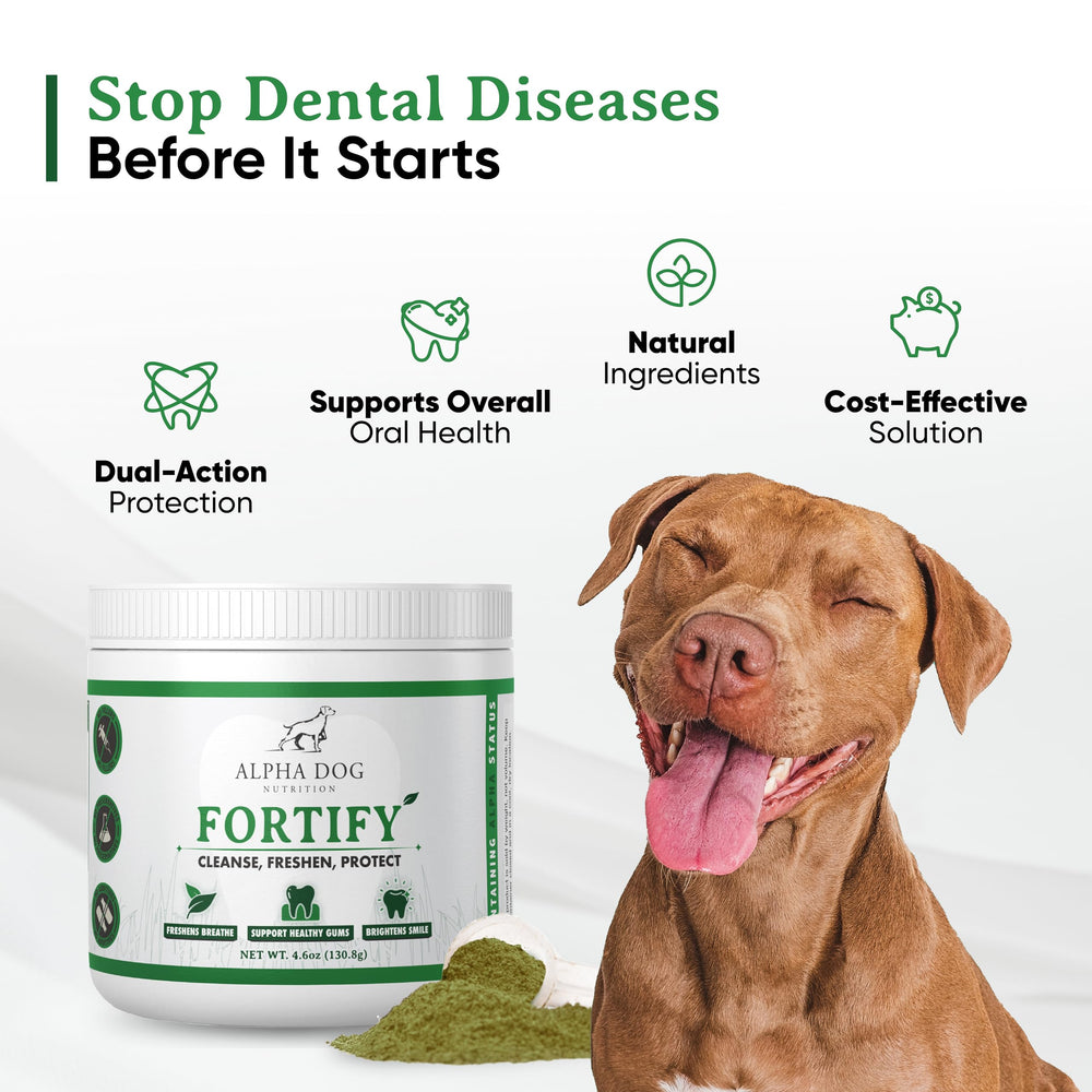 Fortify powder sprinkled onto dog food supports natural plaque control and fresh breath.