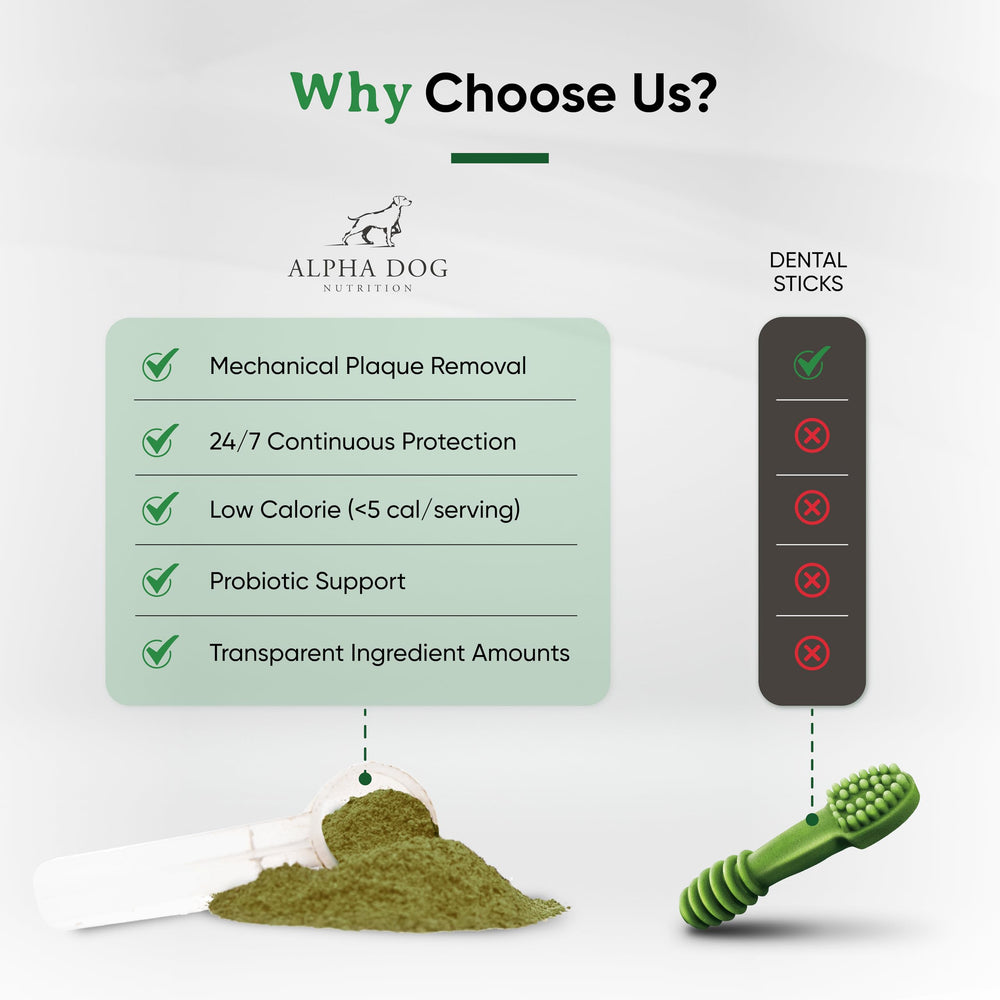 Alpha Dog Nutrition Fortify powder with kelp and greens for natural dental-care.