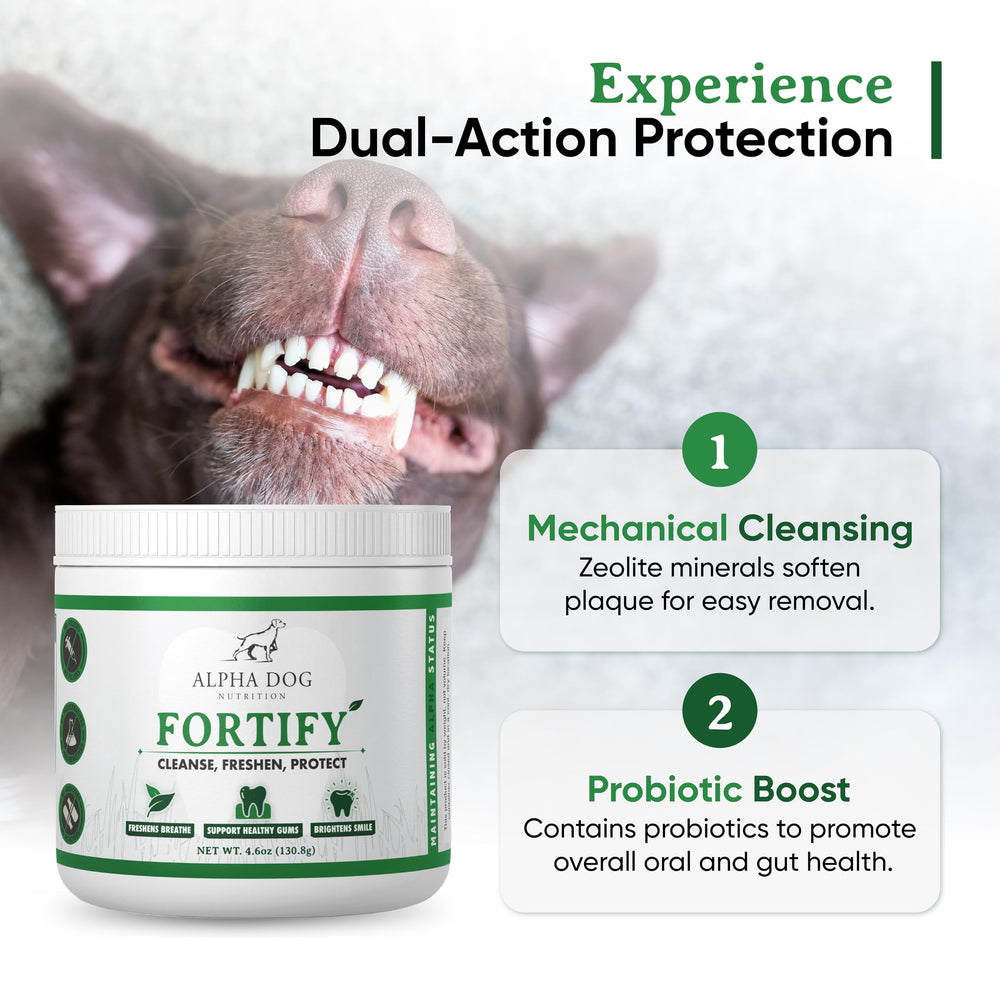 Alpha Dog Nutrition Fortify dental powder in-use during meals to promote clean teeth.