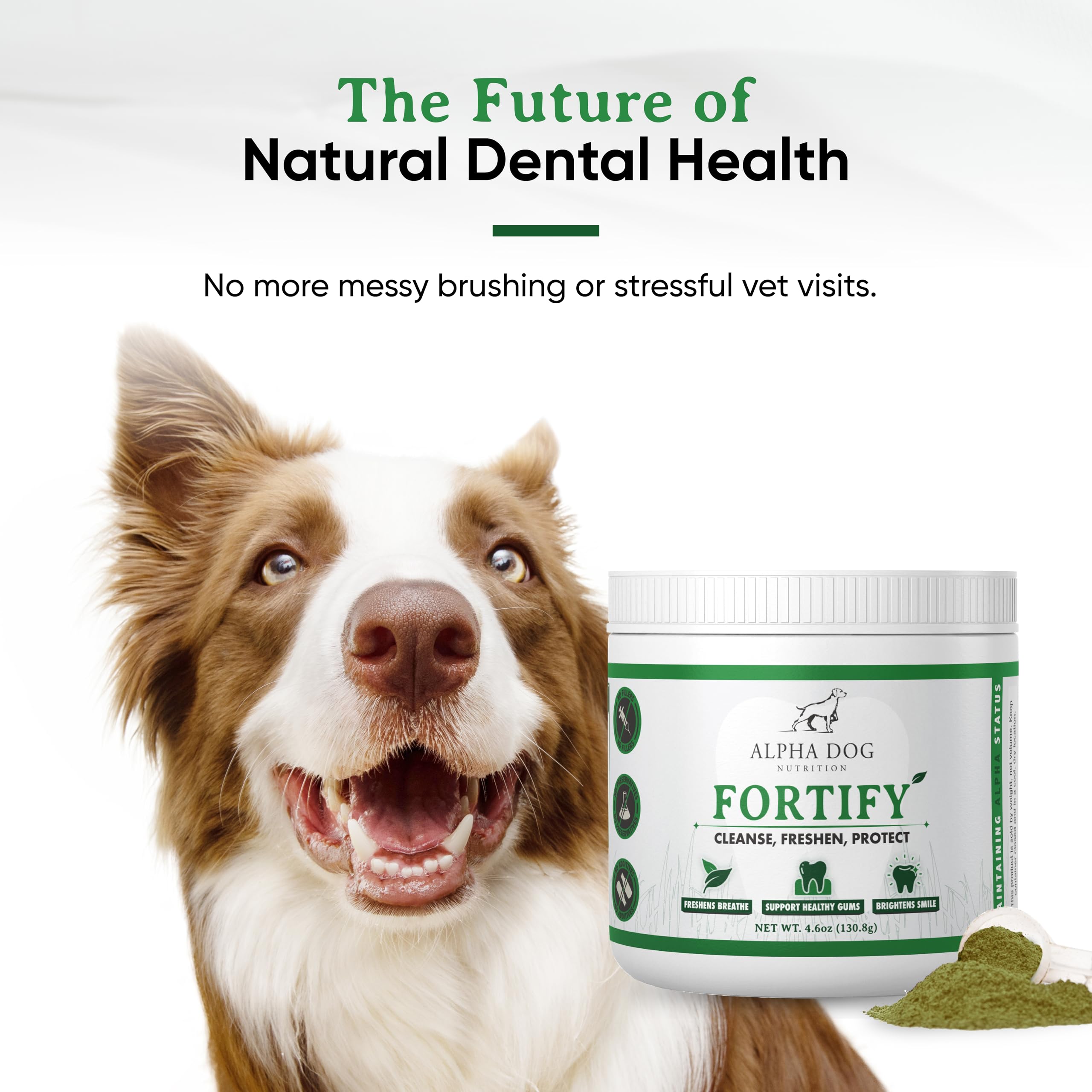 Alpha Dog Nutrition Fortify dental powder close-up texture and food sprinkle.