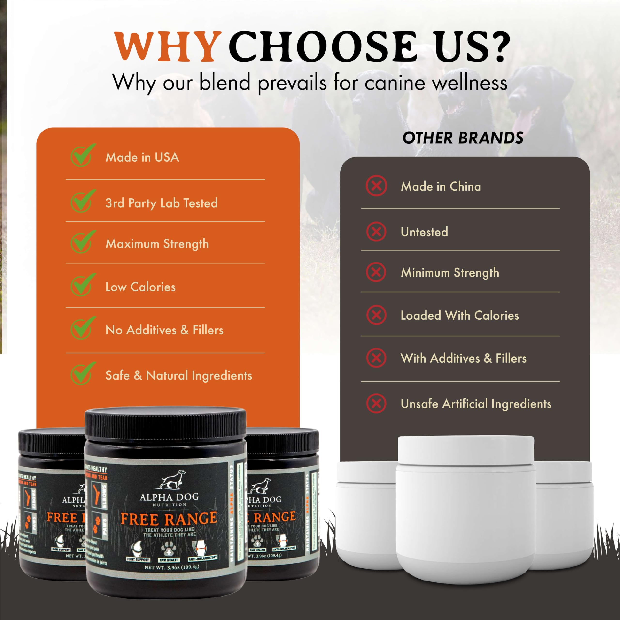 Active dog enjoys outdoor activity with Alpha Dog Nutrition Joint Powder for joint support.