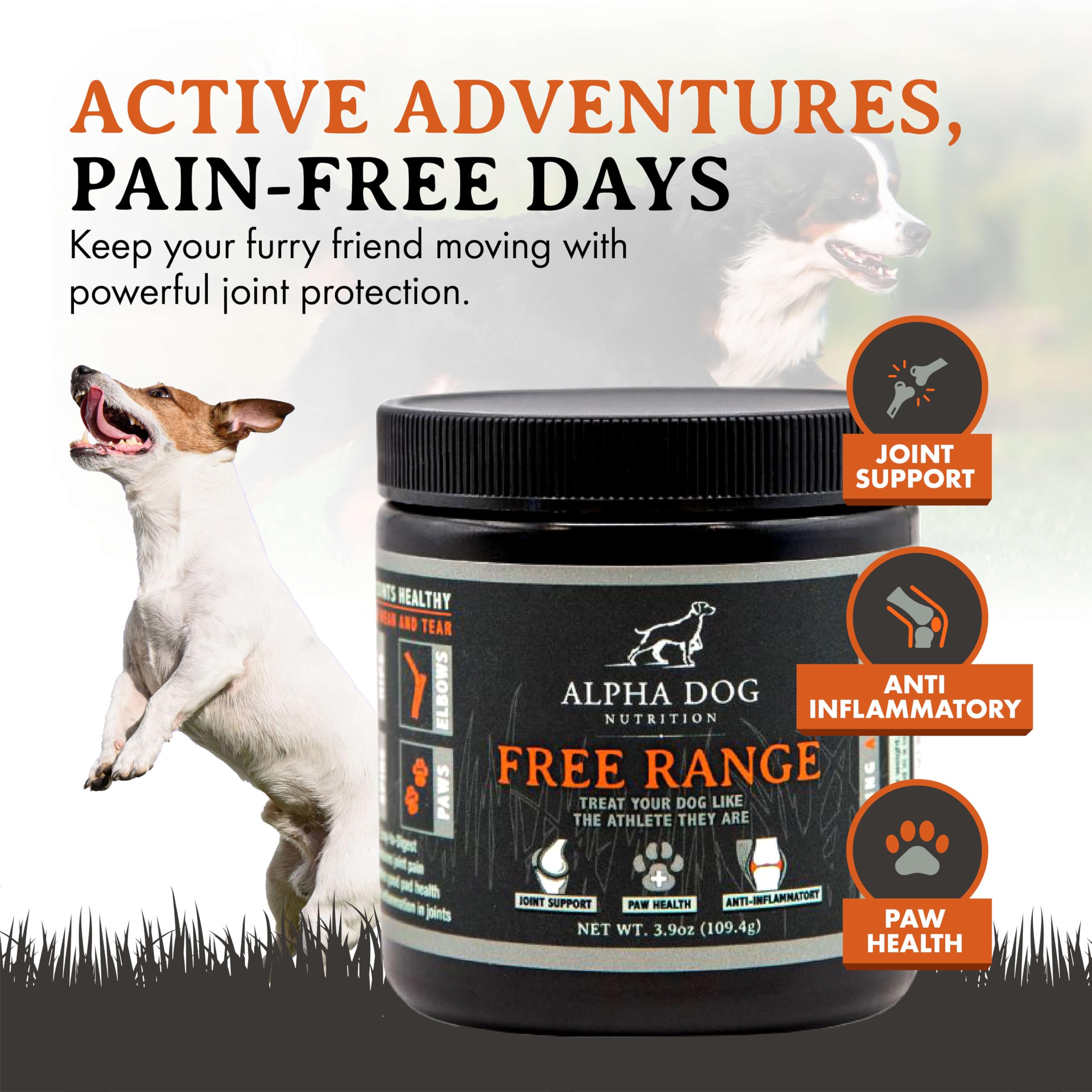 Alpha Dog Nutrition Free Range Joint Powder served to dog bowl supports mobility during play.