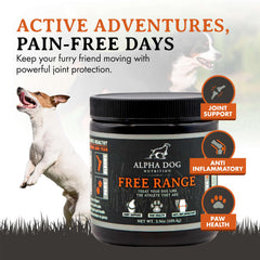 Alpha Dog Nutrition Free Range Joint Powder served to dog bowl supports mobility during play.