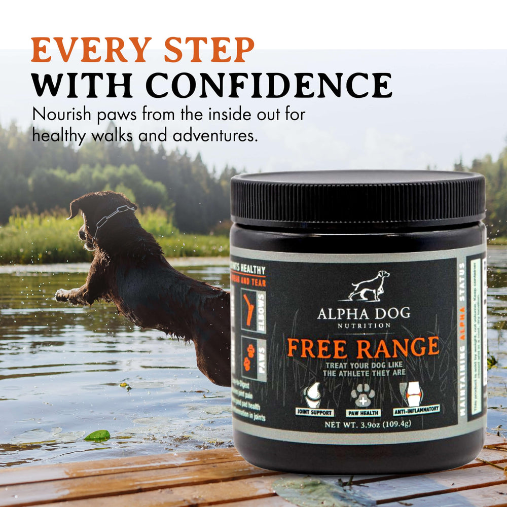 Alpha Dog Nutrition Free Range Joint Powder tub closed, focusing on freshness and premium packaging.