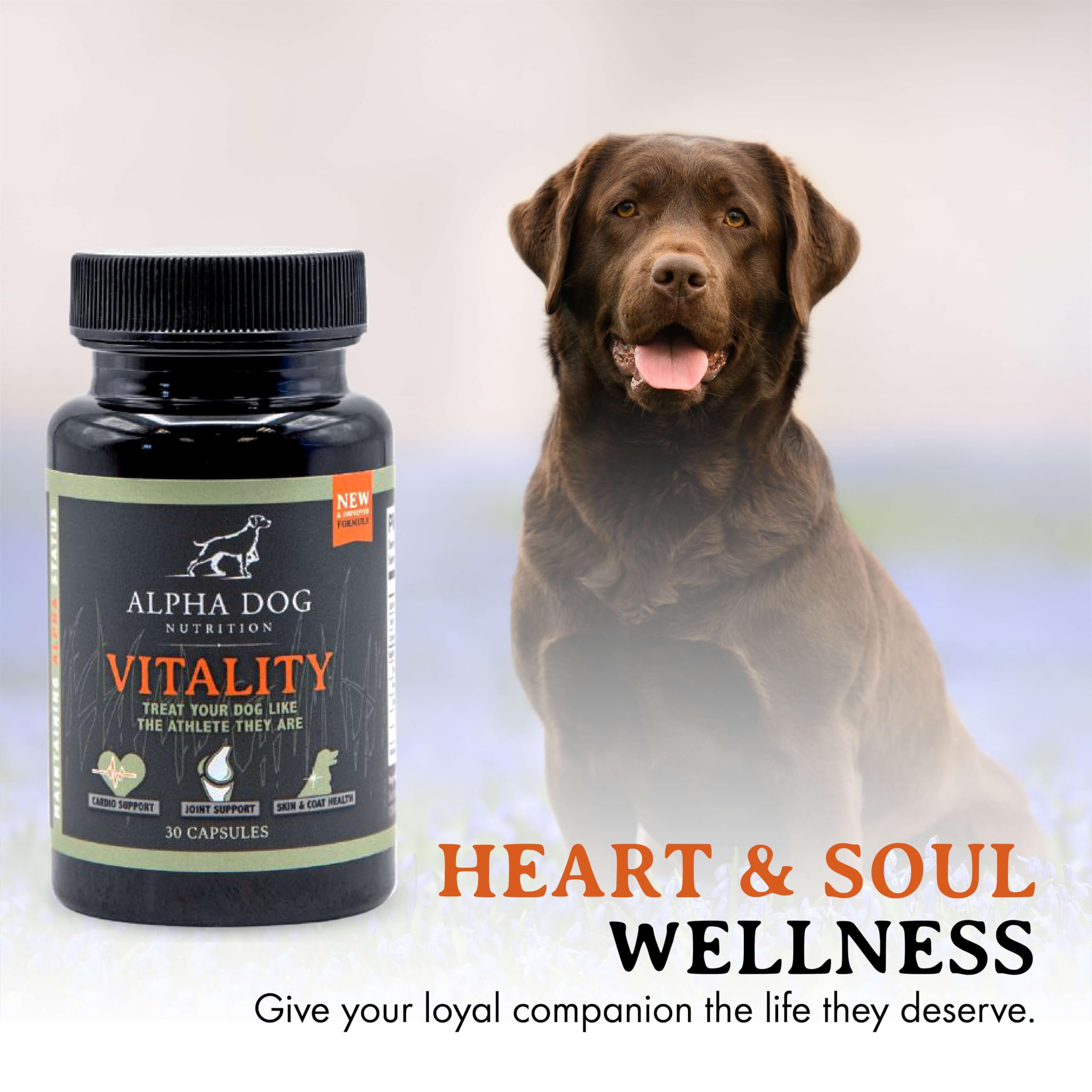 Alpha Dog Nutrition Vitality Krill Oil Antarctic krill origin highlights high-quality omega-3s.