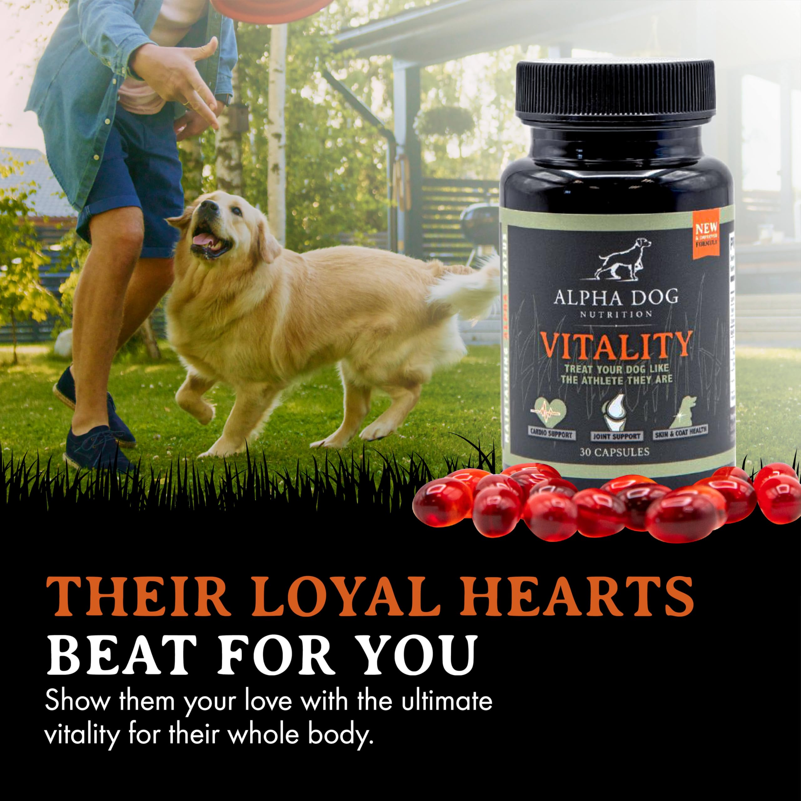 Alpha Dog Nutrition Vitality Krill Oil promotes coat health and skin nourishment in dogs.