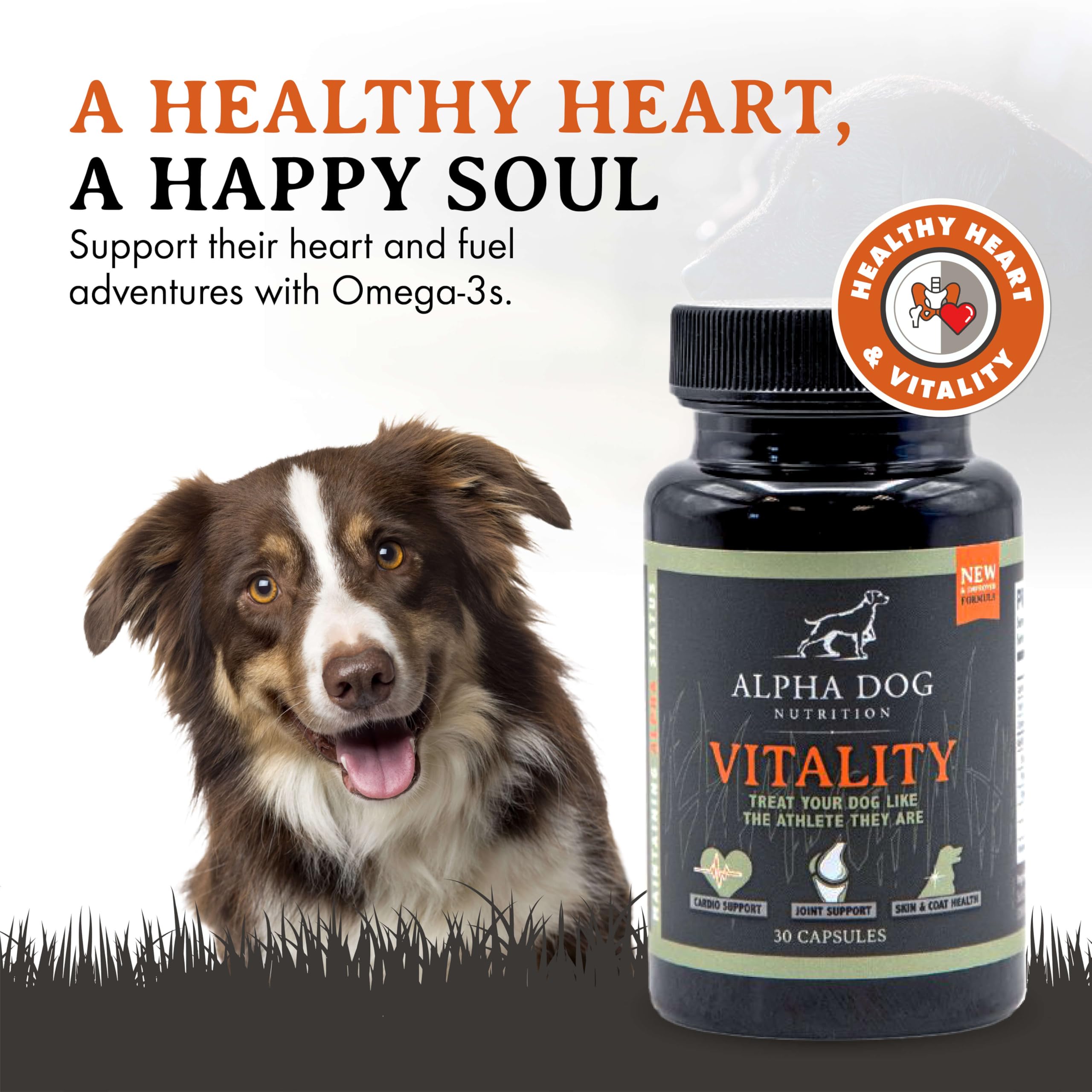 Alpha Dog Nutrition Vitality Krill Oil coat shine to show healthy skin.