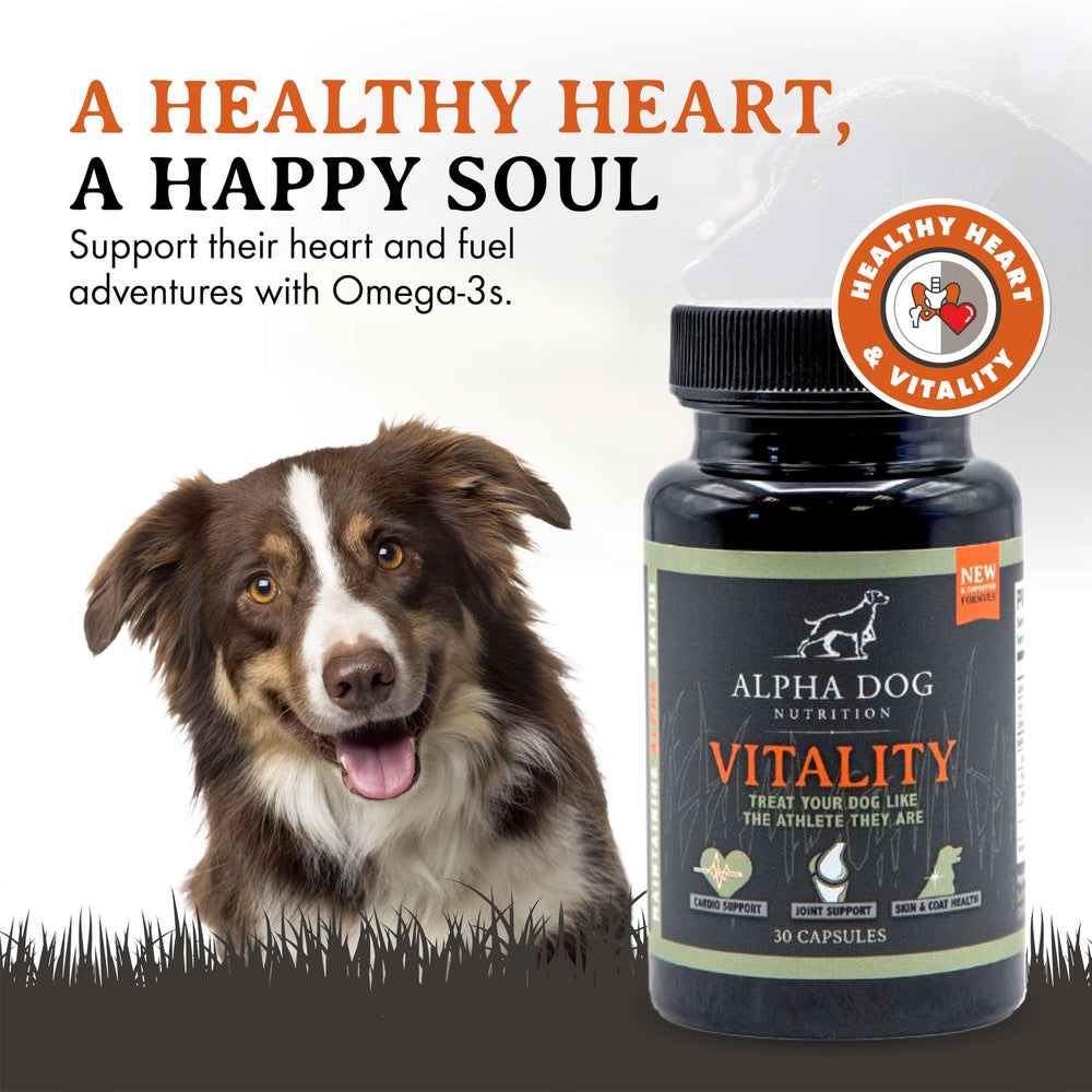 Alpha Dog Nutrition Vitality Krill Oil coat shine to show healthy skin.