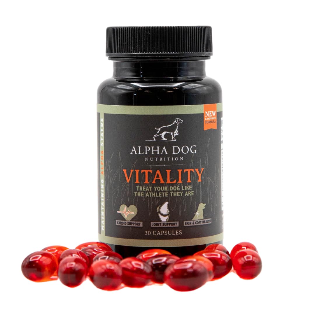 Alpha Dog Nutrition Vitality Krill Oil softgels for easy dosing and joint support.